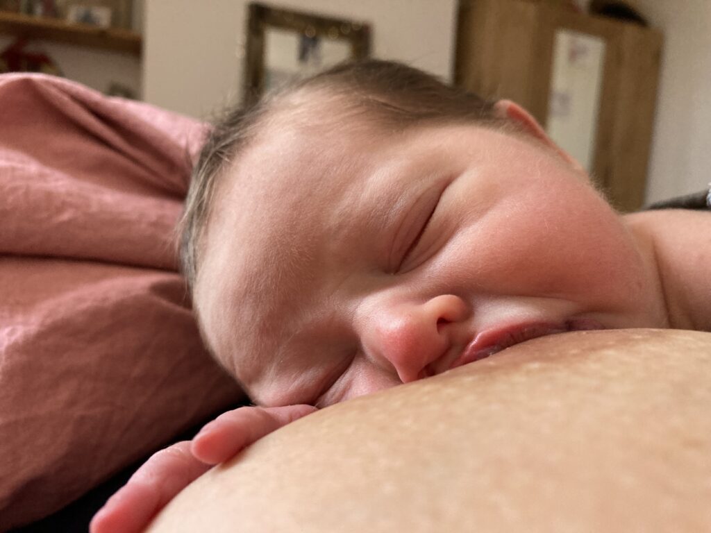 breastfeeding baby at home after home birth with private midwives