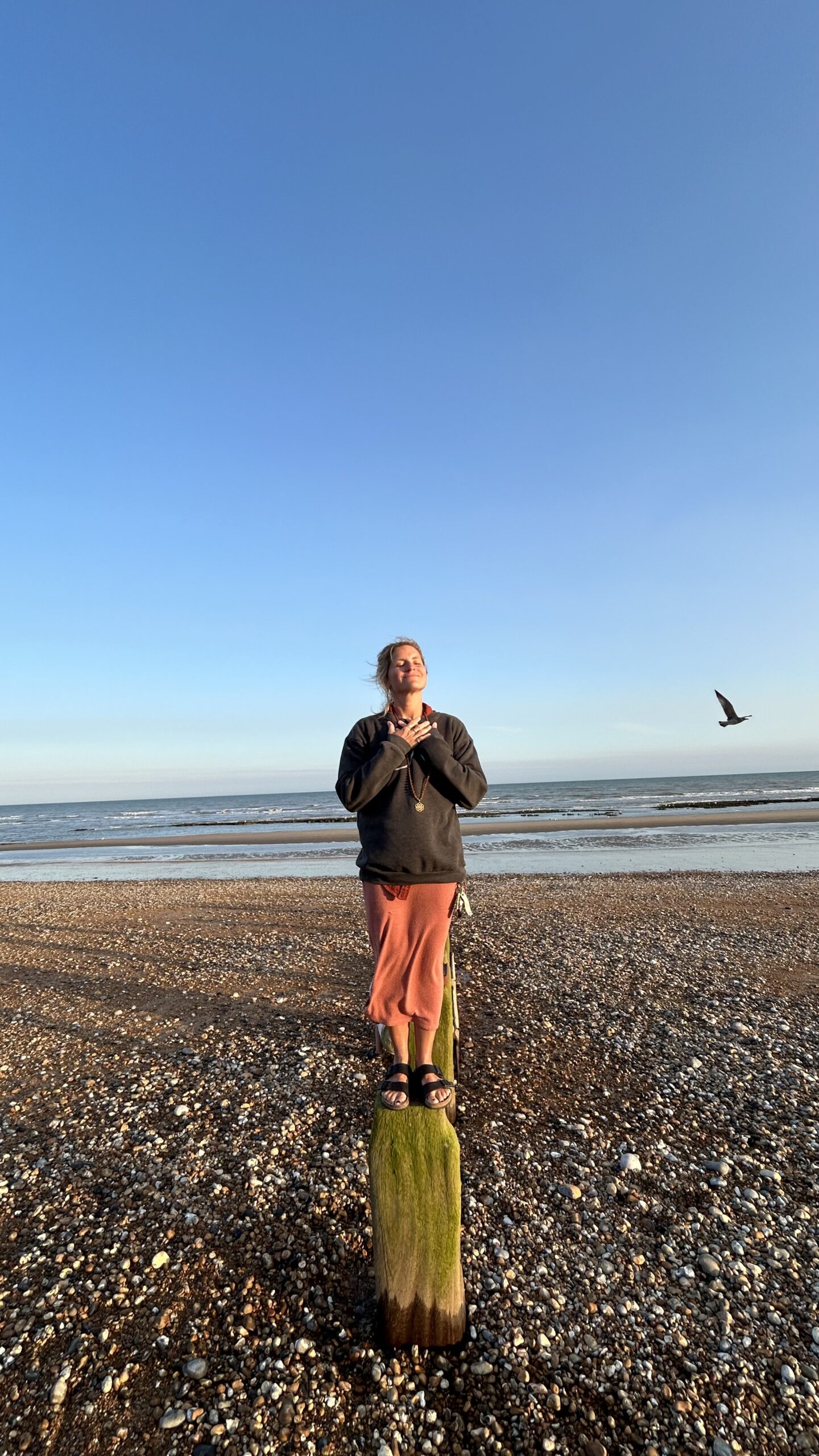 Virginia rowan private midwife in Bexhill