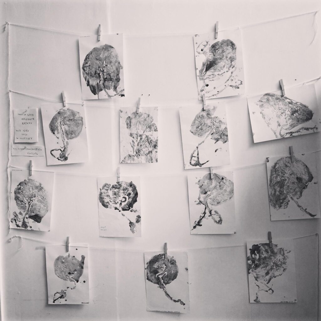 placenta remedies brighton and eastbourne