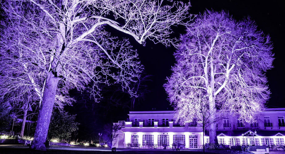 Tree-Lighting-Hire-Berkshire